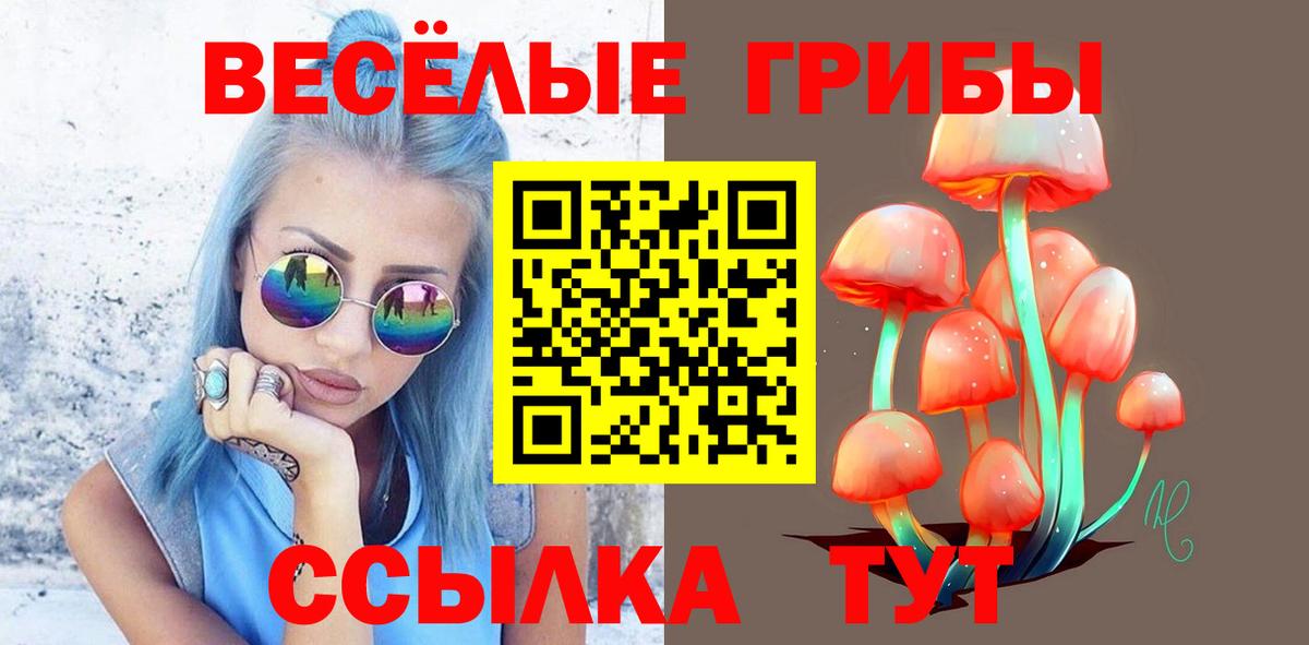 Псилоцибиновые грибы Magic Shrooms Клинцы